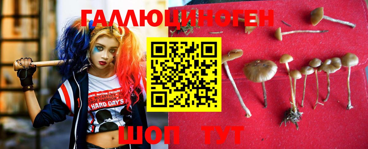 Белгород  Галлюциногенные грибы Magic Shrooms  Вход с VPN  Псилоцибиновые грибы Cubensis 